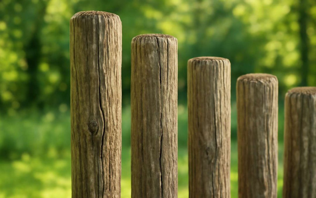 Find Quality Wooden Poles Near Me for Your Outdoor Projects Today