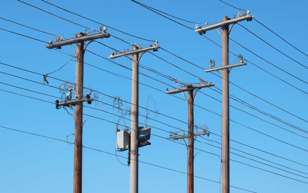 Discover different types of telephone poles: from wood to fiberglass and composite options.